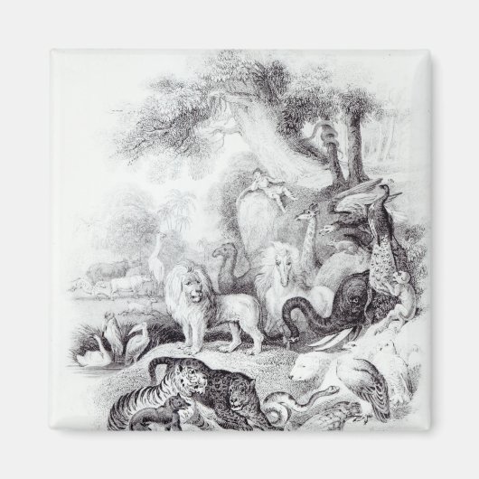 Wilde dieren uit 'Een geschiedenis van de Aarde' Magneet (Voorkant)