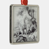 Wilde dieren uit 'Een geschiedenis van de Aarde' Metalen Ornament (Rechts)