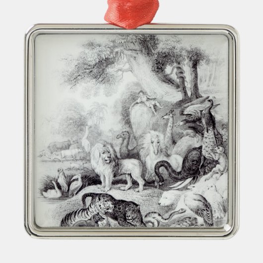 Wilde dieren uit 'Een geschiedenis van de Aarde' Metalen Ornament (Voorkant)