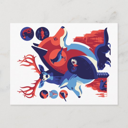 Wilde Dieren V.06 Briefkaart (Voorkant)