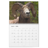 Wilde dieren van de Canadese kalender Prairies (Mar 2026)