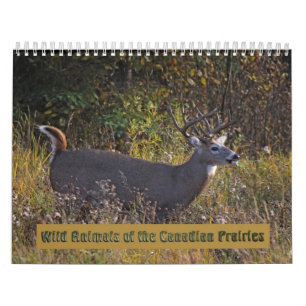 Wilde dieren van de Canadese kalender Prairies