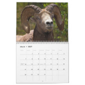 Wilde dieren van de Canadese kalender Prairies (Mar 2027)