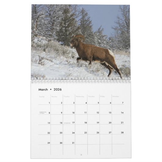 Wilde dieren van geelsteen kalender (Mar 2026)