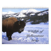 Wilde dieren van geelsteen kalender (Hoes)