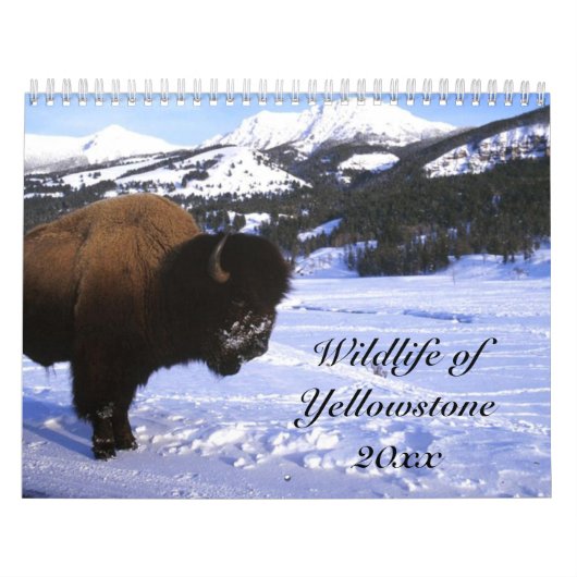 Wilde dieren van geelsteen kalender (Hoes)