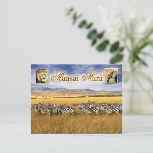 Wilde dieren van Maasai Mara in Kenia Briefkaart (Staand voorkant)