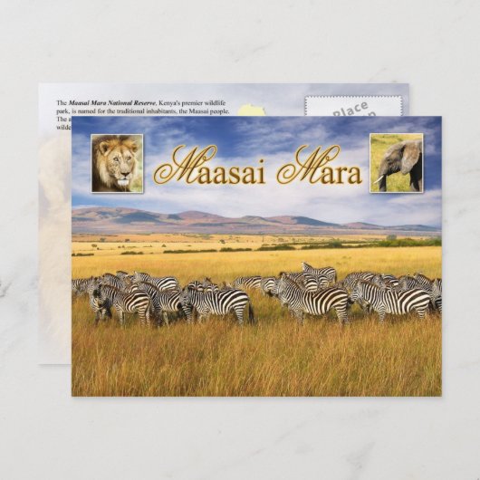 Wilde dieren van Maasai Mara in Kenia Briefkaart (Voorkant / Achterkant)