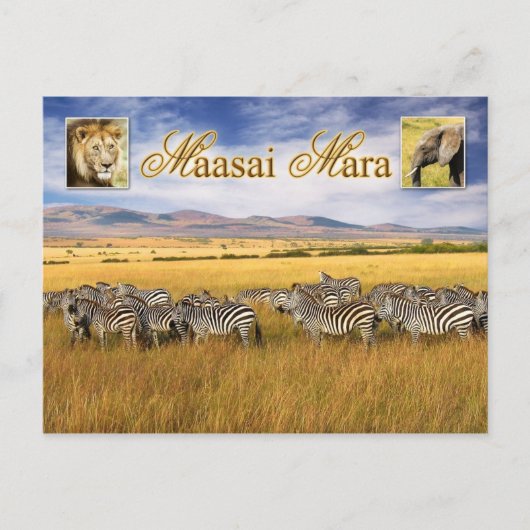 Wilde dieren van Maasai Mara in Kenia Briefkaart (Voorkant)