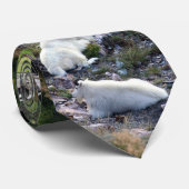 Wilde dieren van Noord-Amerika 2 Stropdas (Opgerold)