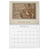 Wilde dieren van Noord-Amerika Kalender (Feb 2027)