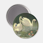  wilde dieren, Victoriaans witte zwanen Magneet (Voorkant / Achterkant)