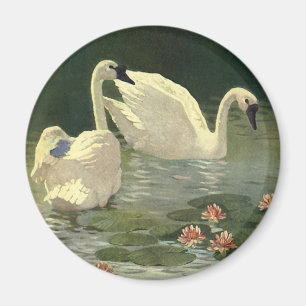  wilde dieren, Victoriaans witte zwanen Magneet