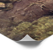  wilde dieren, Vizcachas door Winifred Austen Poster (Hoek)