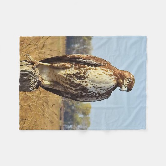 Wilde dieren, vlooiendeken, vogels, rode staarthaw fleece deken (Voorkant (Horizontaal))