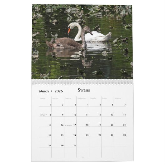 Wilde dieren voor kinderen kalender (Mar 2026)