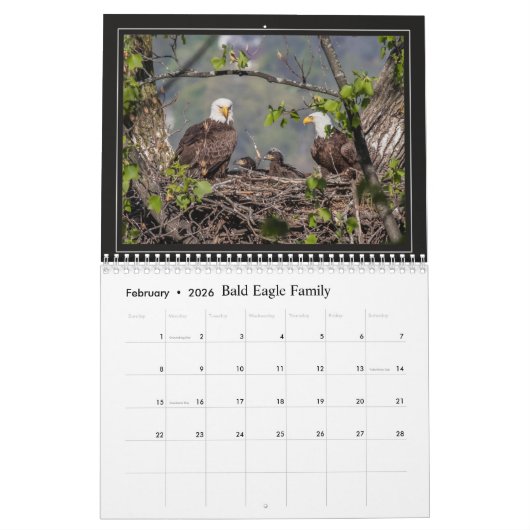 Wilde dieren voor kinderen kalender (Feb 2026)