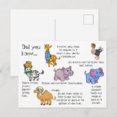 Wilde dieren vun feiten briefkaart (Voorkant / Achterkant)