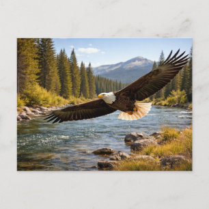 Wilde dieren Zeilende Amerikaanse zeearend Briefkaart