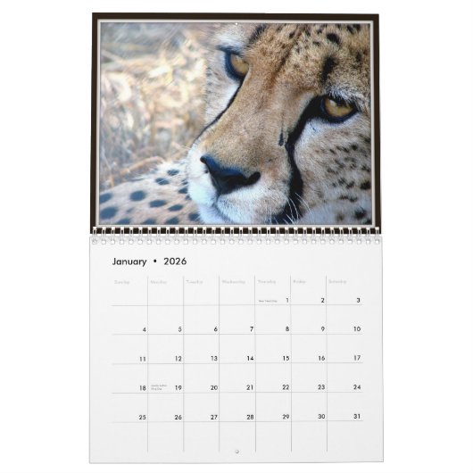 Wilde dierengezichten kalender (Jan 2026)