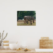 Wilde dierentuin, zebra's poster (Keuken)