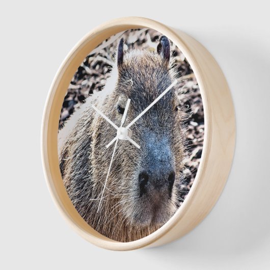 WILDE DIERLIJKE CAPYBARA (Hoek)