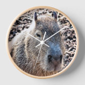 WILDE DIERLIJKE CAPYBARA (Voorkant)