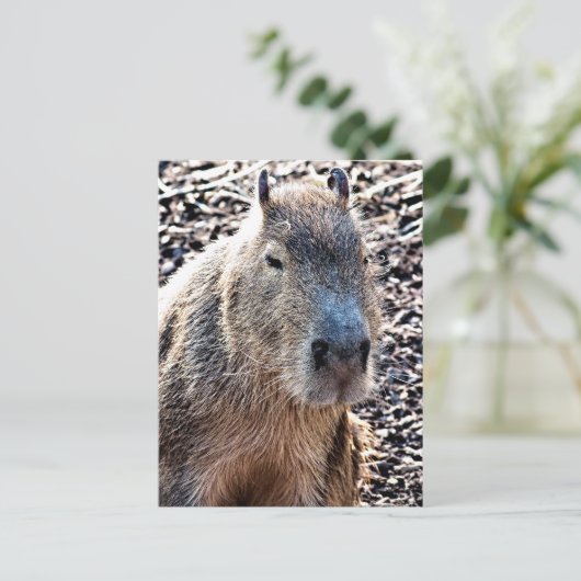 WILDE DIERLIJKE CAPYBARA BRIEFKAART (Staand voorkant)