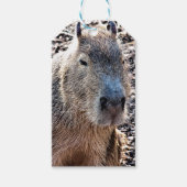 WILDE DIERLIJKE CAPYBARA CADEAULABEL (Voorkant)