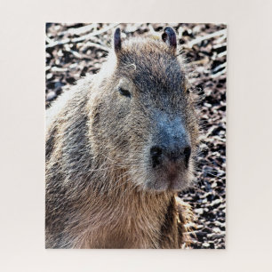 WILDE DIERLIJKE CAPYBARA LEGPUZZEL
