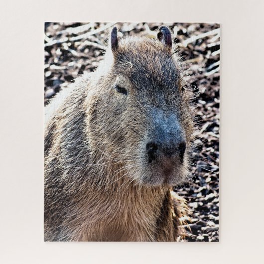WILDE DIERLIJKE CAPYBARA LEGPUZZEL (Verticaal)