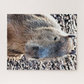 WILDE DIERLIJKE CAPYBARA LEGPUZZEL (Horizontaal)
