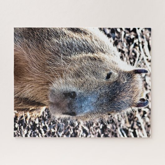 WILDE DIERLIJKE CAPYBARA LEGPUZZEL (Horizontaal)