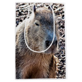 WILDE DIERLIJKE CAPYBARA MEDIUM CADEAUZAKJE (Voorkant)