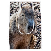 WILDE DIERLIJKE CAPYBARA MEDIUM CADEAUZAKJE (Achterkant)