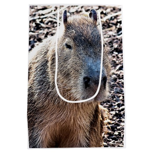 WILDE DIERLIJKE CAPYBARA MEDIUM CADEAUZAKJE (Achterkant)