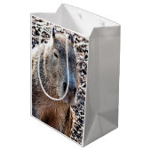 WILDE DIERLIJKE CAPYBARA MEDIUM CADEAUZAKJE (Achterkant Gekanteld)
