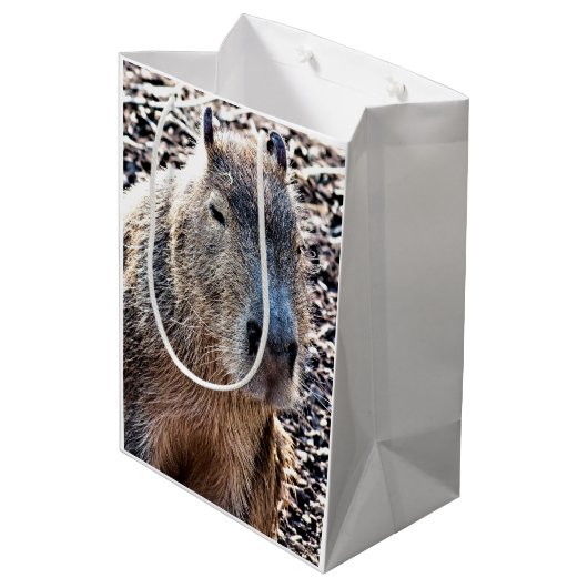 WILDE DIERLIJKE CAPYBARA MEDIUM CADEAUZAKJE (Achterkant Gekanteld)