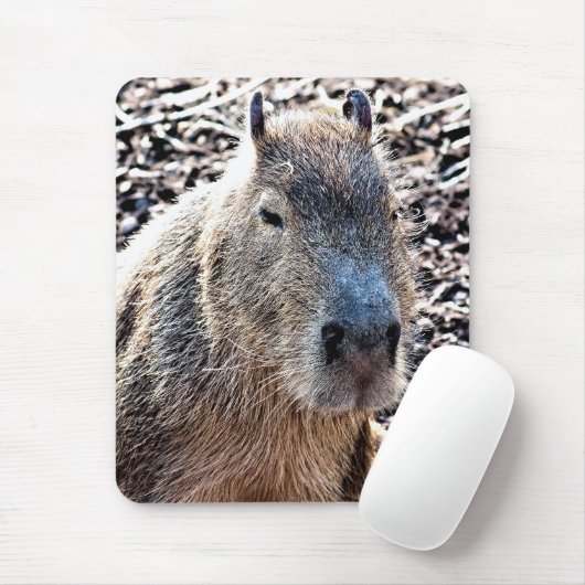 WILDE DIERLIJKE CAPYBARA MUISMAT (Met muis)