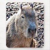 WILDE DIERLIJKE CAPYBARA MUISMAT (Voorkant)
