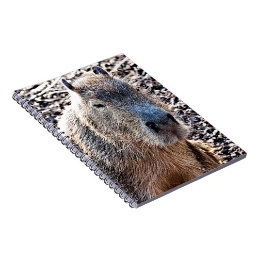 WILDE DIERLIJKE CAPYBARA NOTITIEBOEK (Rechterzijde)