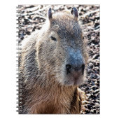 WILDE DIERLIJKE CAPYBARA NOTITIEBOEK (Voorkant)