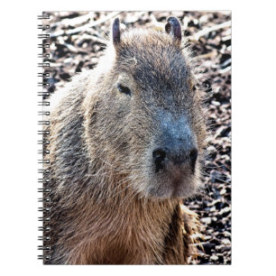 WILDE DIERLIJKE CAPYBARA NOTITIEBOEK