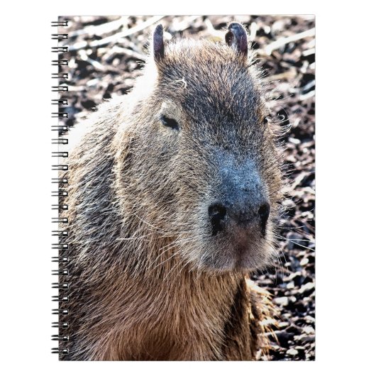 WILDE DIERLIJKE CAPYBARA NOTITIEBOEK (Voorkant)