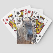 WILDE DIERLIJKE CAPYBARA POKERKAARTEN (Achterkant)