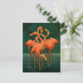  wilde diervogels, tropische roze vlamingos briefkaart (Staand voorkant)