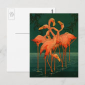  wilde diervogels, tropische roze vlamingos briefkaart (Voorkant / Achterkant)