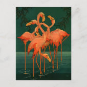  wilde diervogels, tropische roze vlamingos briefkaart (Voorkant)