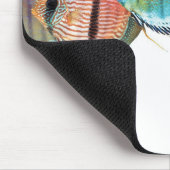 Wilde Discusvisの ス パ ッ ド Muismat (Hoek)