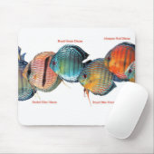 Wilde Discusvisの ス パ ッ ド Muismat (Met muis)